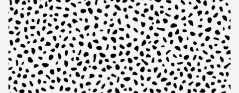 Header of abi23
