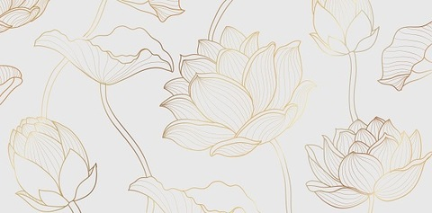 Header of alii.a