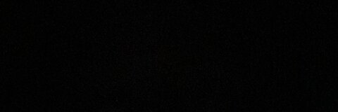 Header of alocasiaa