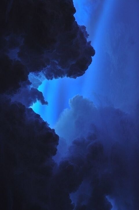 Header of amberraee