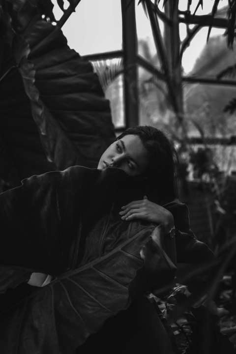 Header of an.estetiq