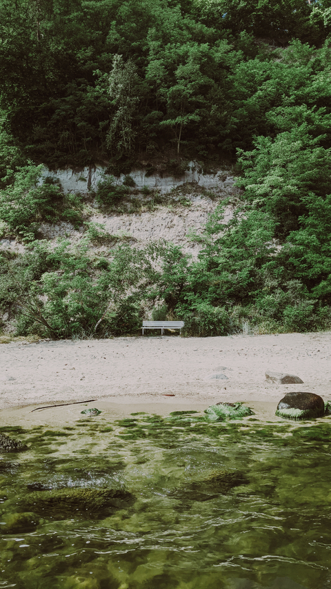 Header of ann_nessi