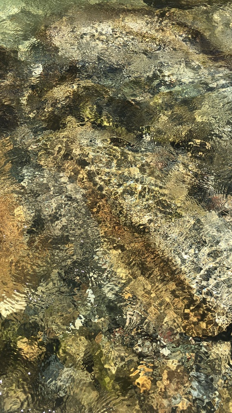 Header of ariadne