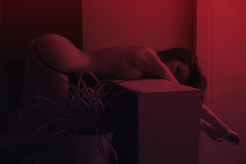 Header of astreaonly
