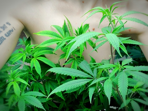 Header of atomicbabe710