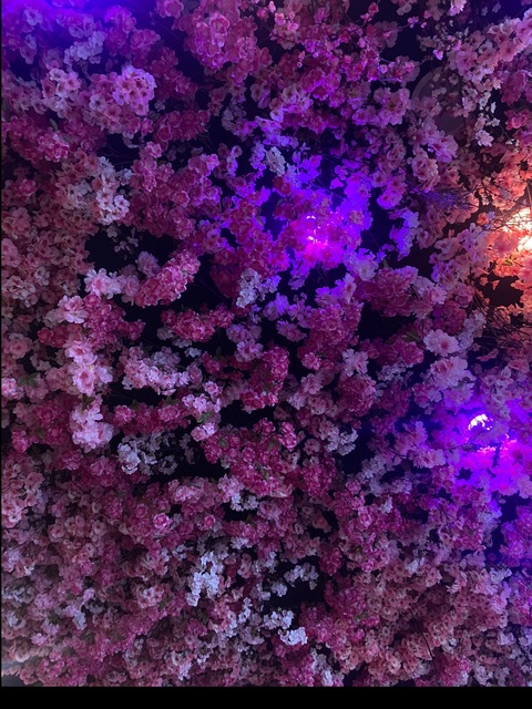 Header of aubreyferrari