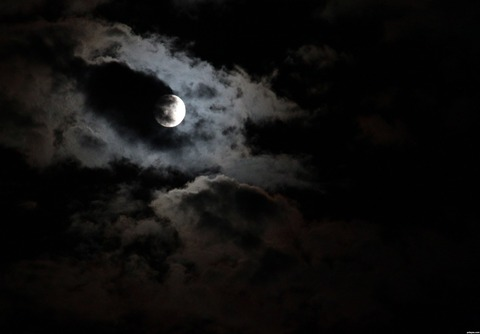 Header of aylameissamalina