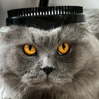 Onlyfans leak bagelhermesbakaku 

 profile picture