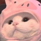 basedxbby (plant based baby 🌱💧) OnlyFans Leaks 

 profile picture