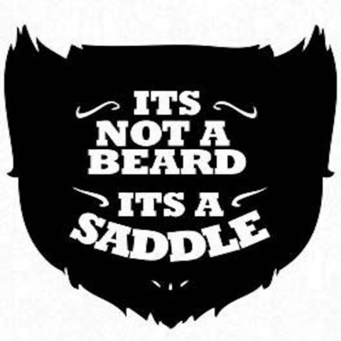 Header of beardedhubby1