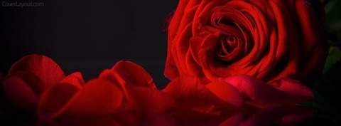Header of bekah.rose32