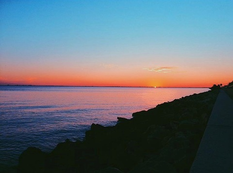 Header of bellaiscool