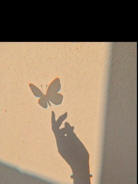 Header of bellassoy