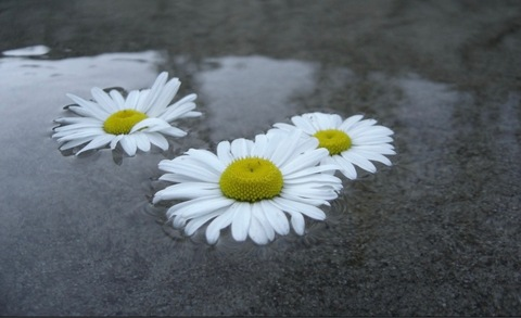 Header of betsy881