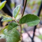 Free access to (@bettycrocker) Leak OnlyFans 

 profile picture