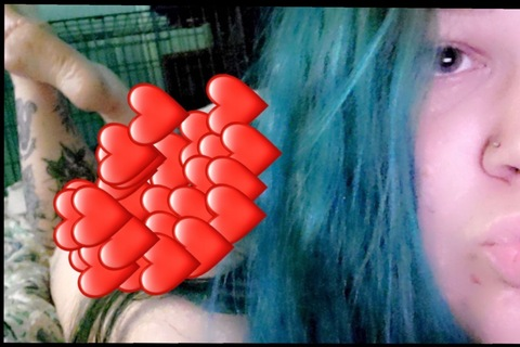 Header of bigbeautyblue