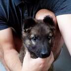 Bojan (bokica) Leaked OnlyFans 

 profile picture