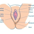 Onlyfans leaked brianpussyeater 

 profile picture