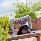 bunnycontorsion (Cherry Bunny) OnlyFans Leaks 

 profile picture