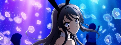 Header of bunnycosplay