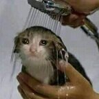 buttholeblunder (Buttholeblunders) free OnlyFans Leaked Content 

 profile picture