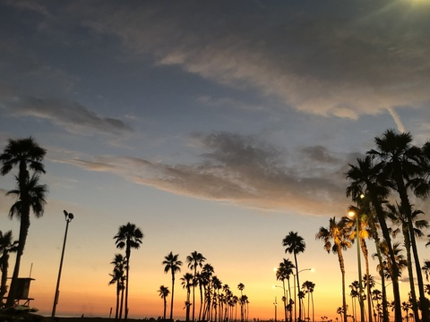 Header of bxbylxzz