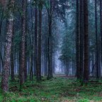 CaliWife (caliwife) Leaked OnlyFans 

 profile picture