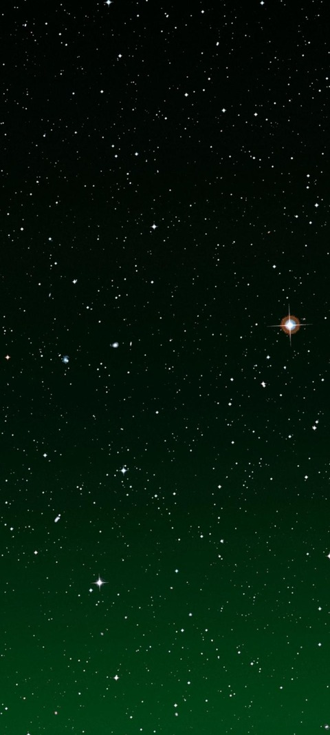 Header of camryncorpse
