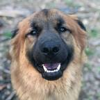 canterbury OnlyFans Leaked 

 profile picture