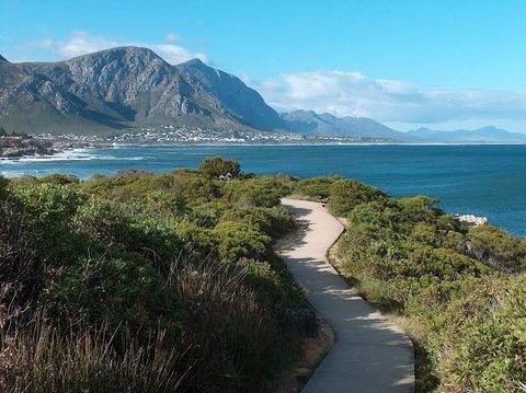 Header of capetown_mom