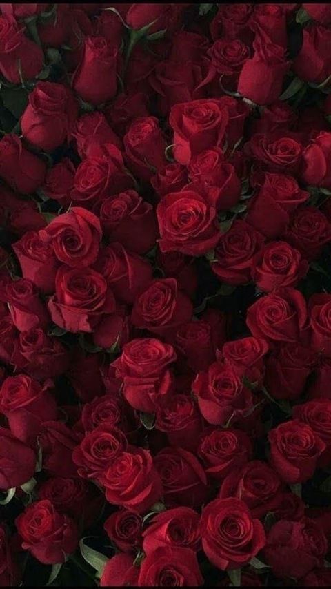 Header of chrryghxst