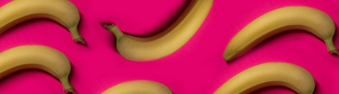 Header of cock_art