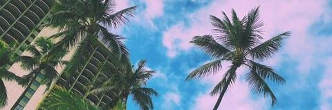 Header of contacto