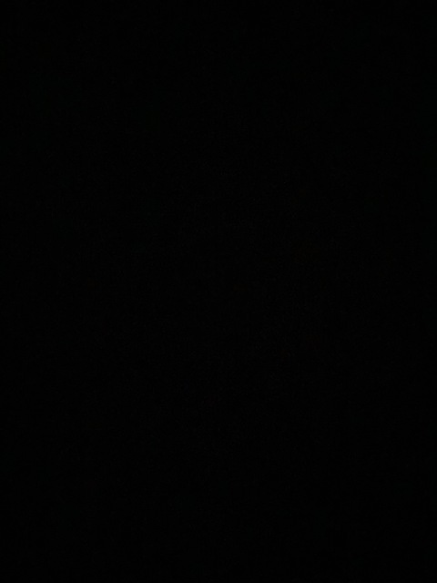 Header of cutespookykitten