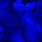 d3str0ym3n (mei) free OnlyFans Leaked Pictures and Videos 

 profile picture
