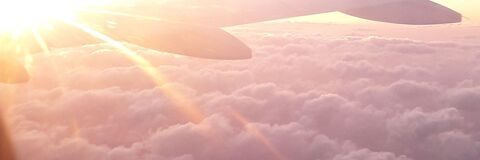 Header of dabichann
