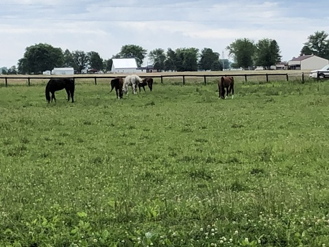 Header of daniyelle91