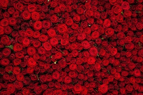 Header of desireepaige21