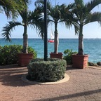 Free access to (@dhyana) Leak OnlyFans 

 profile picture