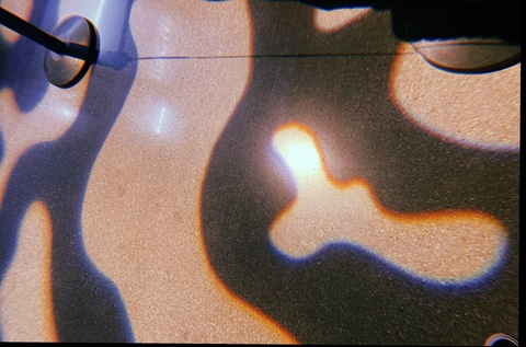 Header of dna0429