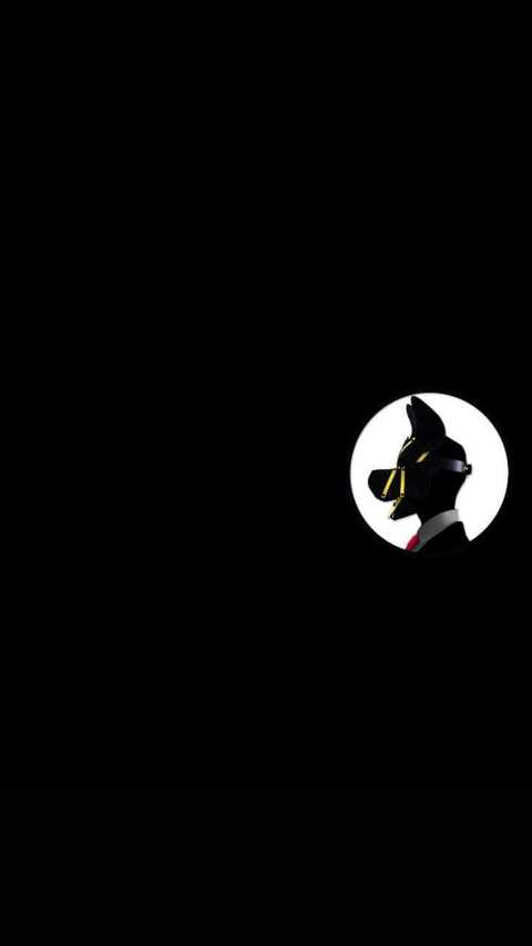 Header of dogao_belgafree