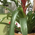 ThePlantFam @ds6789 Leaked OnlyFans 

 profile picture