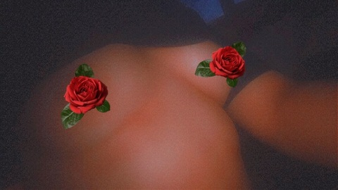 Header of dxoxoxo