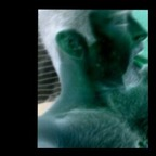 dyl2f (Nerd_Dyl2f) free OnlyFans Leaked Content 

 profile picture