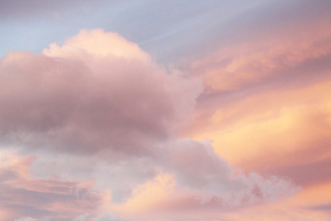 Header of dylanriderx