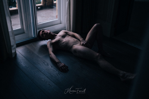 Header of dylantudormodel