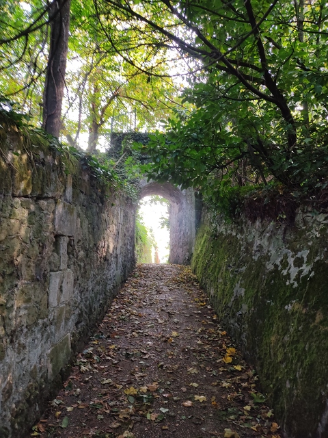 Header of eli.nature