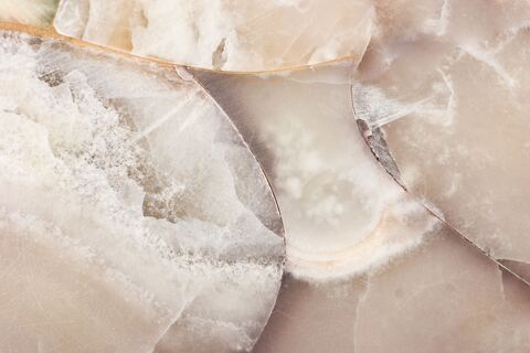 Header of ellieclark