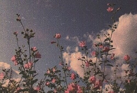 Header of ellybuu