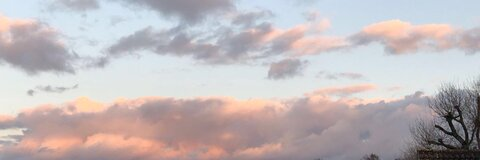 Header of emilyfantham
